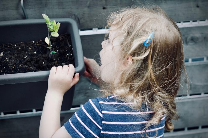 Little green thumbs