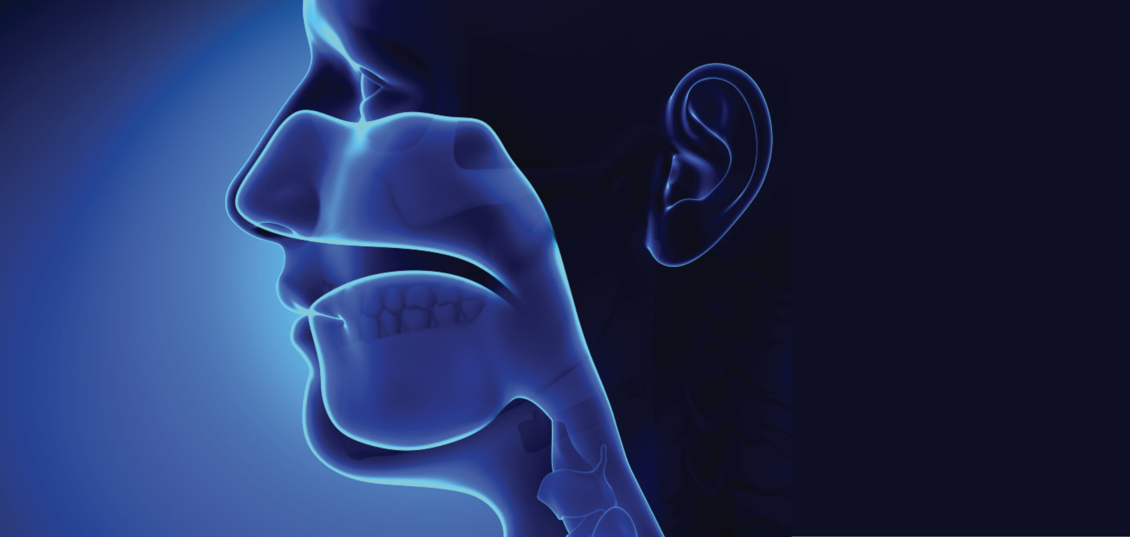 What is a specialty that deals with the diseases of the ears nose and throat?