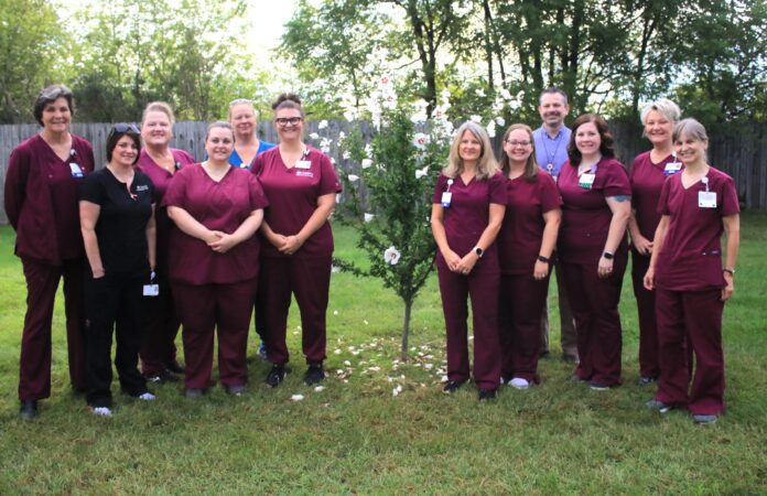 Oaklawn Hospice again earns national family-satisfaction award